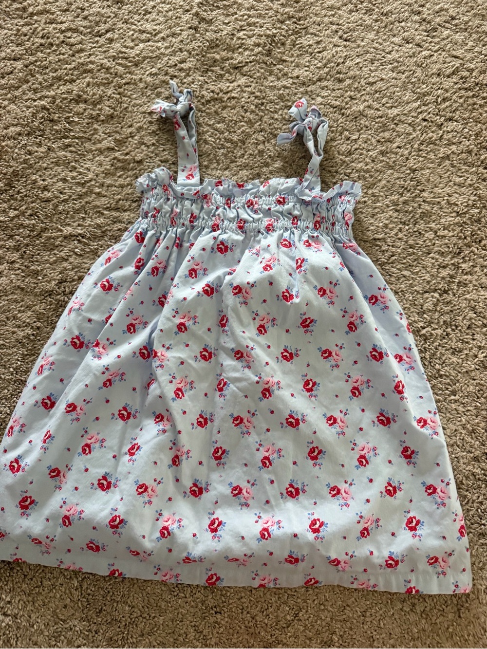 Baby Gap Light Blue Floral Sundress with Red Rose Print | 4T